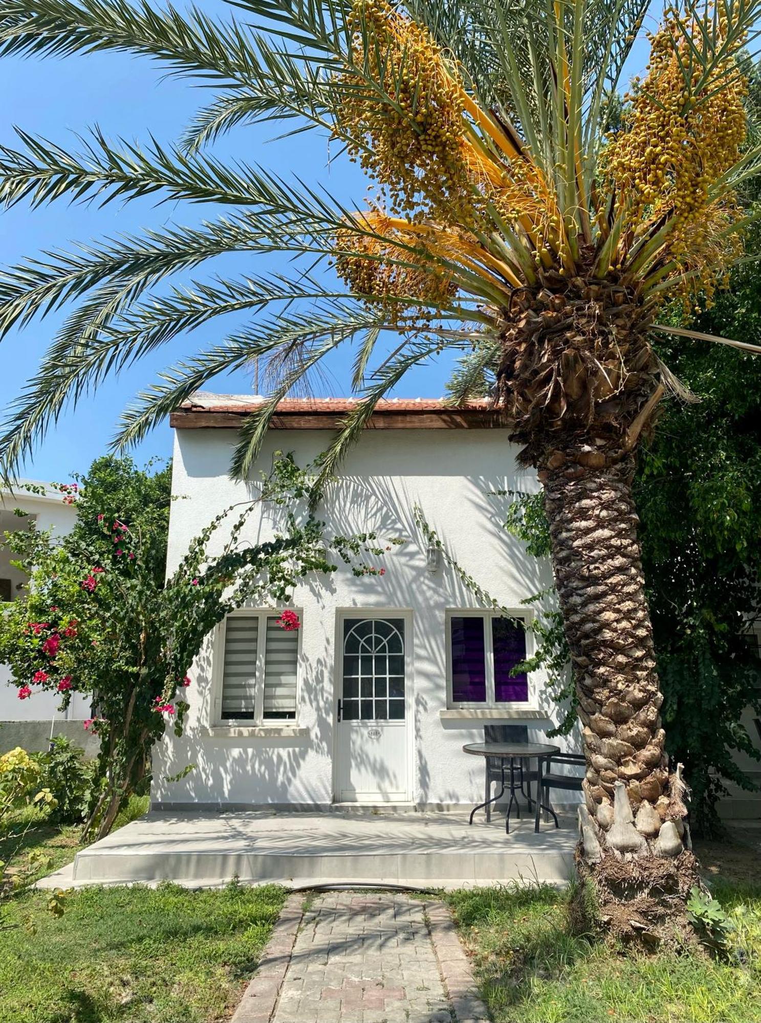 The Prince Inn Hotel & Villas Agios Georgios  エクステリア 写真