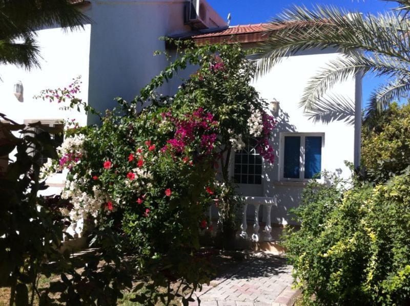 The Prince Inn Hotel & Villas Agios Georgios  エクステリア 写真