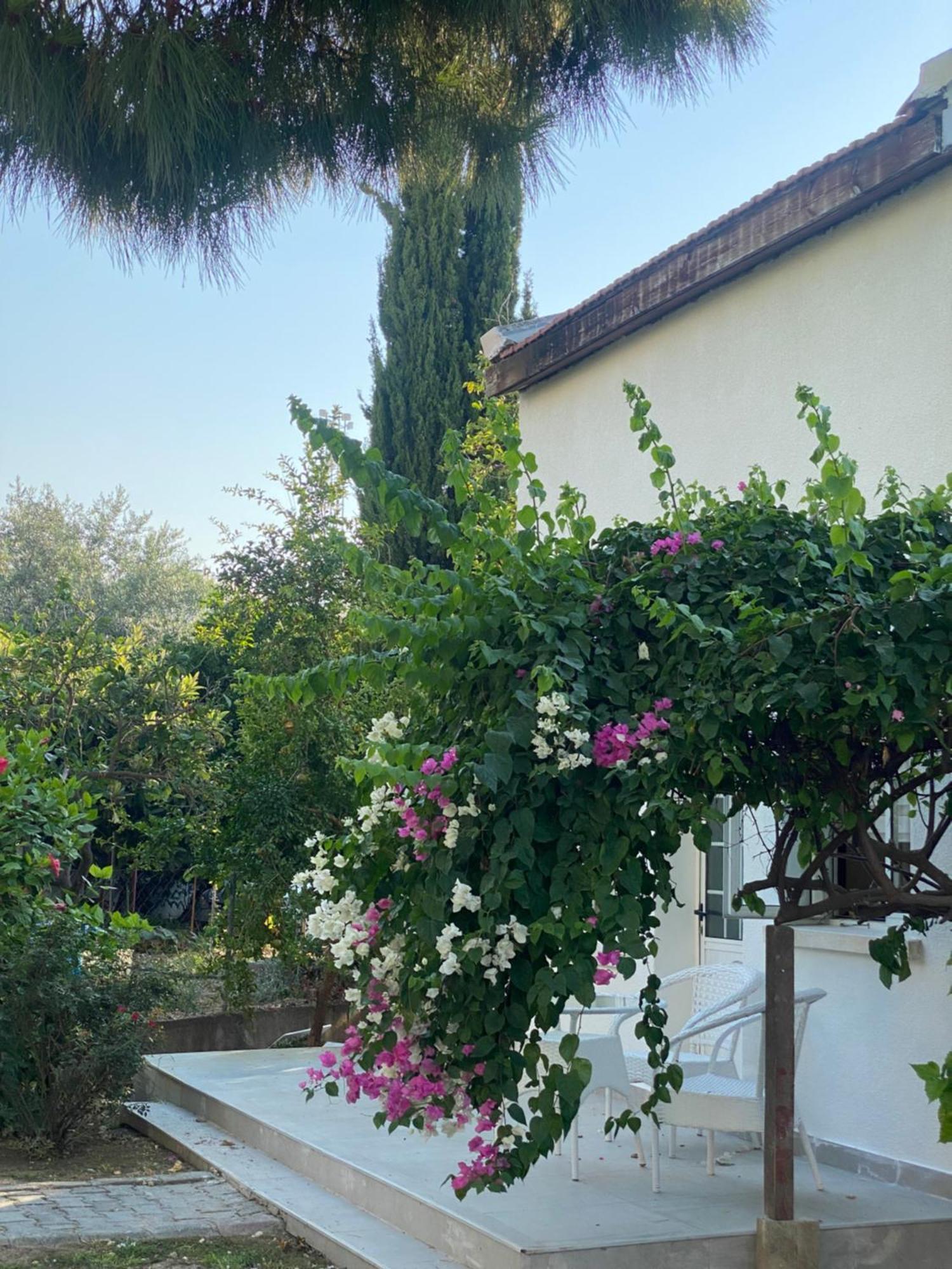 The Prince Inn Hotel & Villas Agios Georgios  エクステリア 写真
